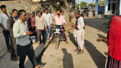 WhatsApp Image 2026 02 11 at 9.35.03 AM