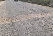 WhatsApp Image 2026 02 12 at 3.33.39 PM 1