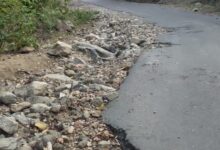 WhatsApp Image 2026 02 12 at 7.56.07 PM