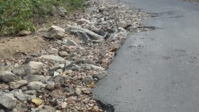 WhatsApp Image 2026 02 12 at 7.56.07 PM