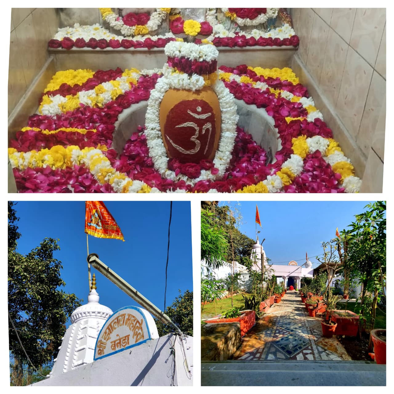 WhatsApp Image 2026 02 13 at 4.05.52 PM