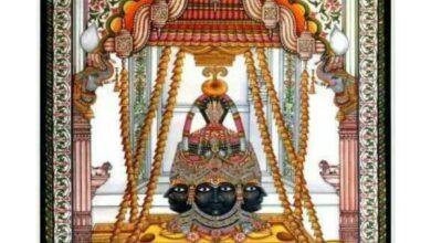 WhatsApp Image 2026 02 14 at 12.32.27 PM