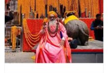 WhatsApp Image 2026 02 14 at 12.32.49 PM