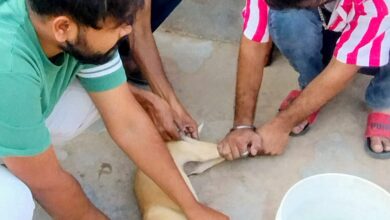 WhatsApp Image 2026 02 14 at 5.06.43 PM