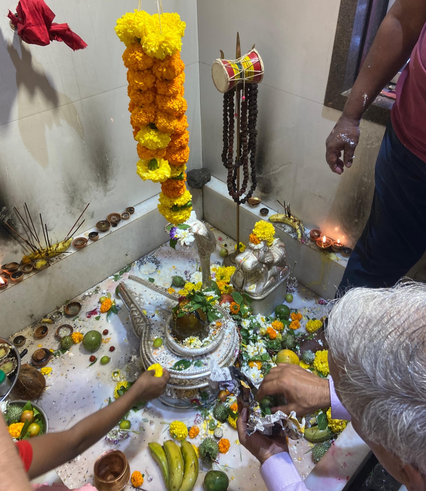 WhatsApp Image 2026 02 15 at 11.31.53 AM 1