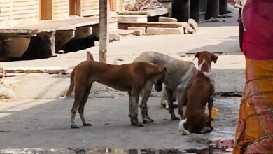 WhatsApp Image 2026 02 15 at 8.53.37 PM