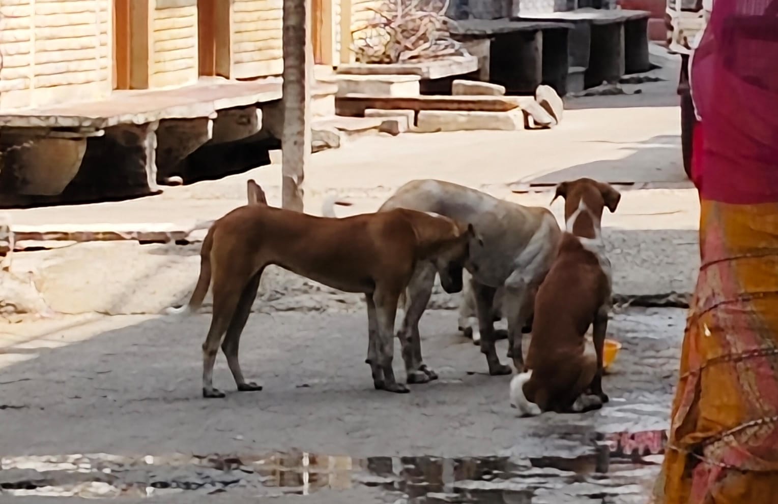 WhatsApp Image 2026 02 15 at 8.53.37 PM