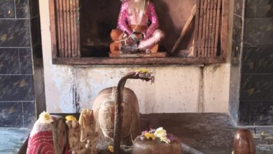 WhatsApp Image 2026 02 16 at 2.38.36 PM