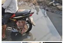 WhatsApp Image 2026 02 20 at 7.29.59 AM