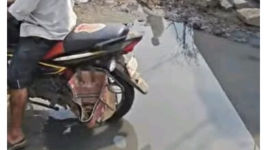 WhatsApp Image 2026 02 20 at 7.29.59 AM