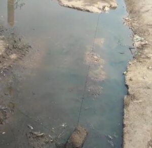 WhatsApp Image 2026 02 22 at 4.43.57 PM