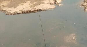 WhatsApp Image 2026 02 22 at 4.44.22 PM