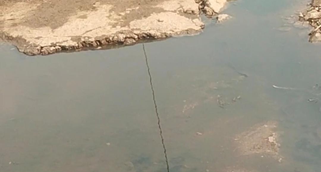 WhatsApp Image 2026 02 22 at 4.44.22 PM