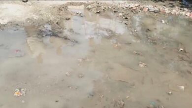 WhatsApp Image 2026 02 23 at 2.57.56 PM