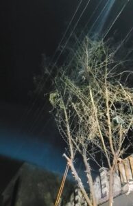 WhatsApp Image 2026 02 25 at 11.55.24 PM