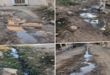 file 00000000427472069f433385d7fbbd59 1