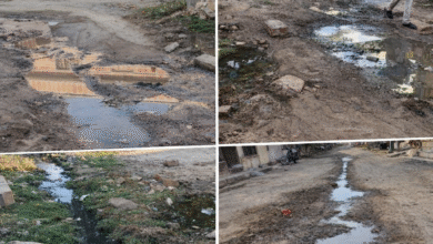 file 00000000427472069f433385d7fbbd59 1