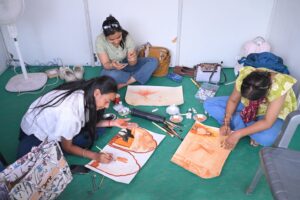 25वां कला मेला