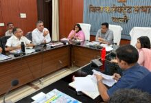 पाली जिला कलेक्टर