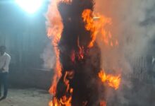 WhatsApp Image 2026 03 03 at 11.33.57 AM