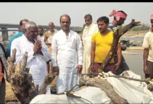 WhatsApp Image 2026 03 05 at 3.31.39 PM