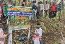 WhatsApp Image 2026 03 11 at 4.56.10 PM