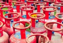 WhatsApp Image 2026 03 13 at 2.11.33 PM