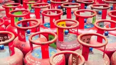 WhatsApp Image 2026 03 13 at 2.11.33 PM