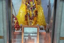 WhatsApp Image 2026 03 17 at 9.14.32 PM