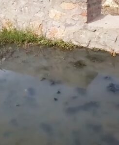 WhatsApp Image 2026 03 19 at 12.35.00 PM