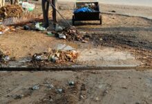 WhatsApp Image 2026 03 20 at 9.26.18 AM