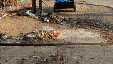 WhatsApp Image 2026 03 20 at 9.26.18 AM