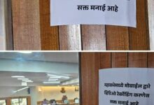 WhatsApp Image 2026 03 28 at 12.56.03 PM