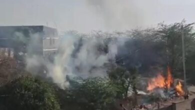 WhatsApp Image 2026 03 29 at 8.07.31 PM