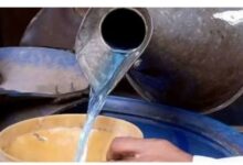 WhatsApp Image 2026 03 30 at 12.16.46 PM