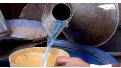 WhatsApp Image 2026 03 30 at 12.16.46 PM