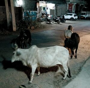 WhatsApp Image 2026 03 31 at 8.29.05 AM