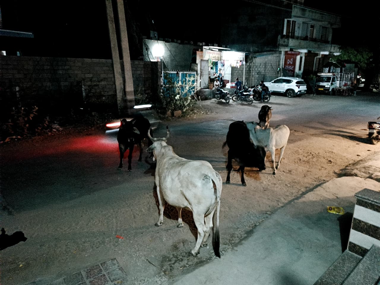 WhatsApp Image 2026 03 31 at 8.29.06 AM