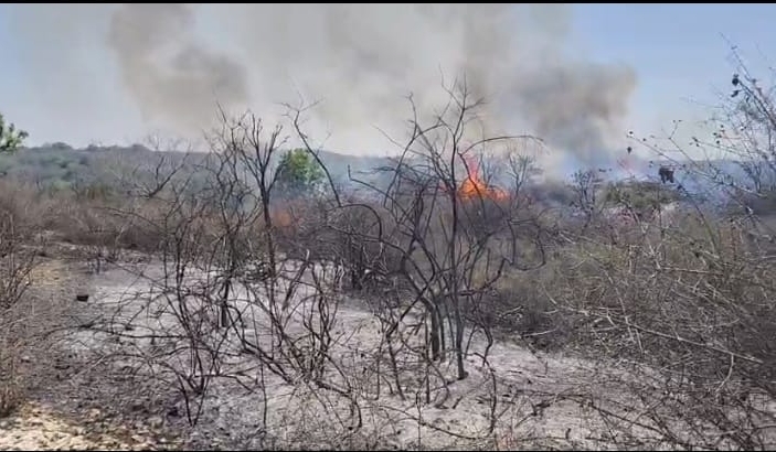 ढ़िकाणी गांव में भीषण आग, एक किलोमीटर क्षेत्र प्रभावित 1 IMG 20260413 173808