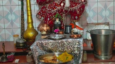 WhatsApp Image 2026 04 01 at 2.30.26 PM