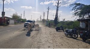 WhatsApp Image 2026 04 04 at 4.56.05 PM