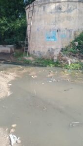 WhatsApp Image 2026 04 05 at 12.03.35 PM