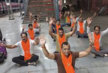 वैष्णोदेवी माता