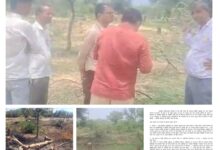 WhatsApp Image 2026 04 08 at 7.23.29 PM