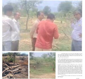 गोचर जमीन पर ‘खेल’ का बड़ा खुलासा: बामनेरा में अवैध प्लॉटिंग-नीलामी के आरोप, सरपंच पर निलंबन की सिफारिश 2 WhatsApp Image 2026 04 08 at 7.23.29 PM