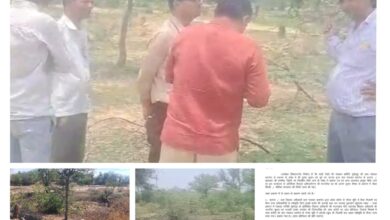 WhatsApp Image 2026 04 08 at 7.23.29 PM