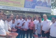 WhatsApp Image 2026 04 12 at 2.03.06 PM