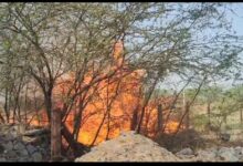 WhatsApp Image 2026 04 12 at 9.35.05 PM