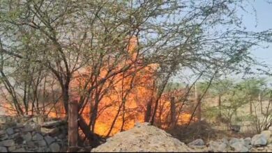 WhatsApp Image 2026 04 12 at 9.35.05 PM