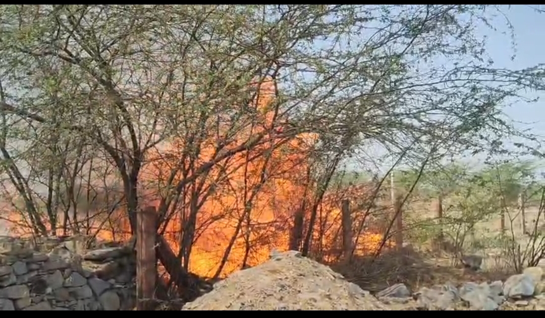 WhatsApp Image 2026 04 12 at 9.35.05 PM